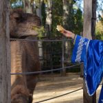 12371192_826503077462297_5101981540563511424_o (2)