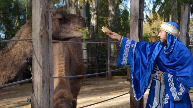 12371192_826503077462297_5101981540563511424_o (2)