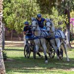 Copa_Navidad_Enganches_facilitada_por_la_organizacion_1