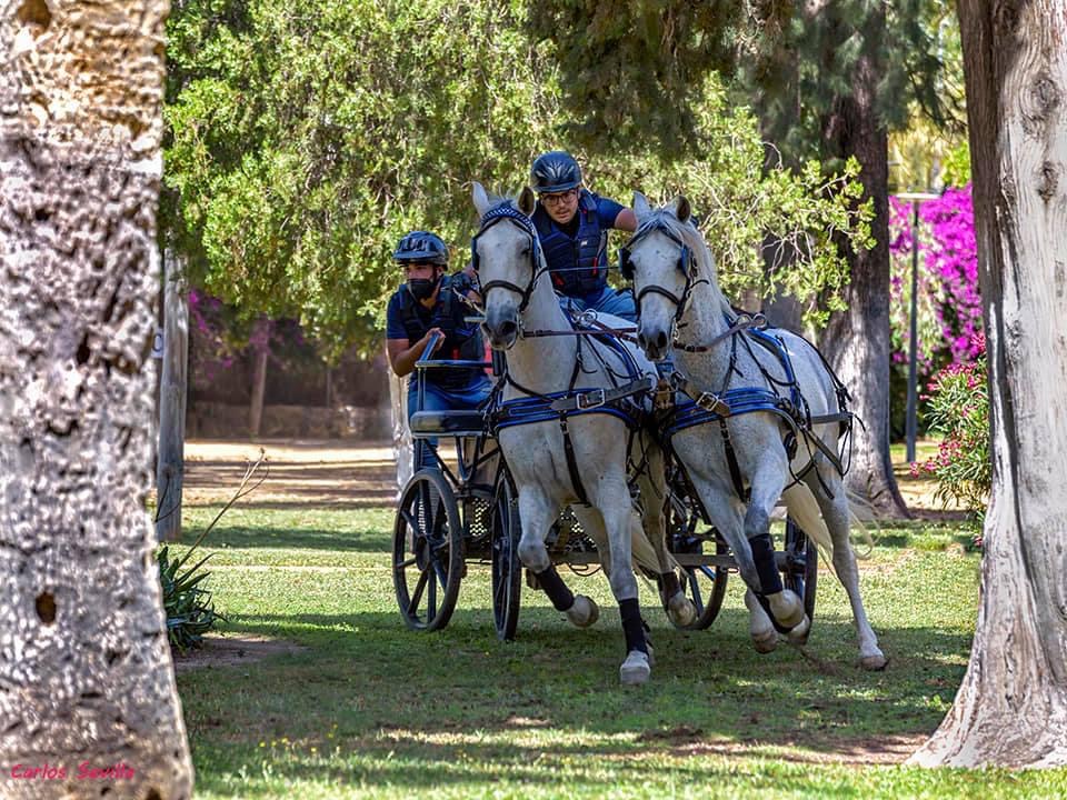 Copa_Navidad_Enganches_facilitada_por_la_organizacion_1