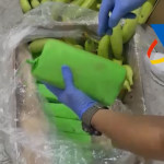 platanos droga jerez (2)