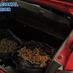 2022-01-17 Jerez Cogollos Marihuana (2)