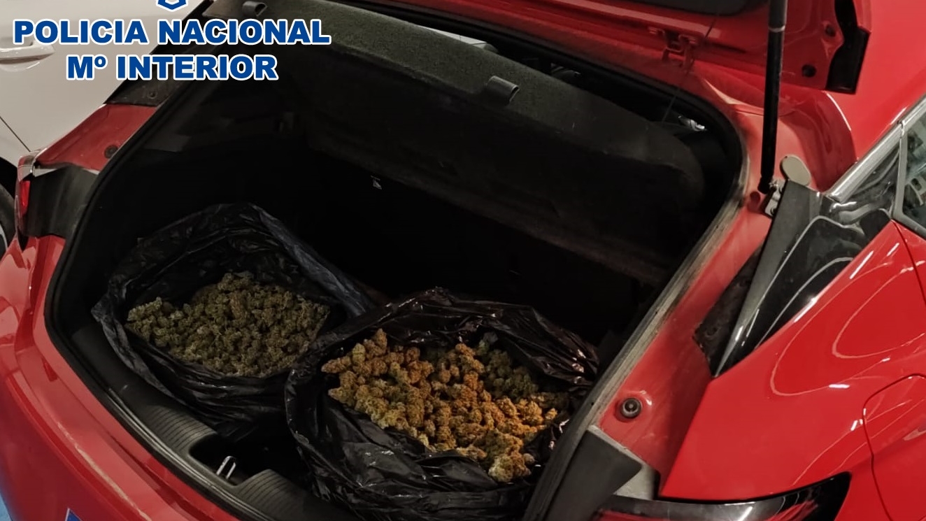 2022-01-17 Jerez Cogollos Marihuana (2)