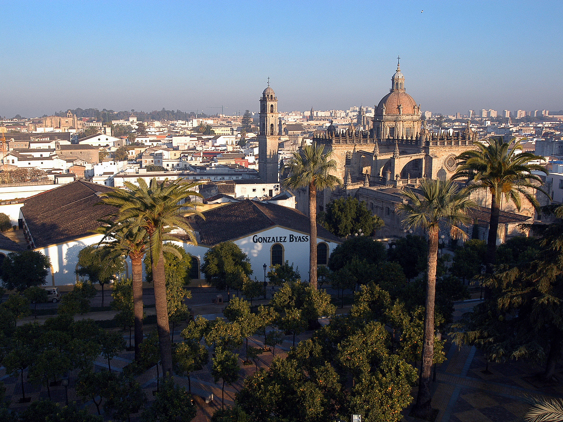 243161825_5007884352559282_4832878203639073421_n