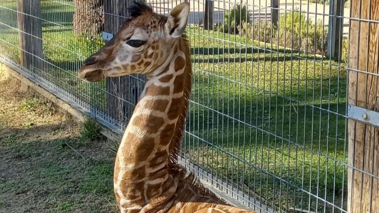 271981123_4710533975725835_3374631664317938174_n