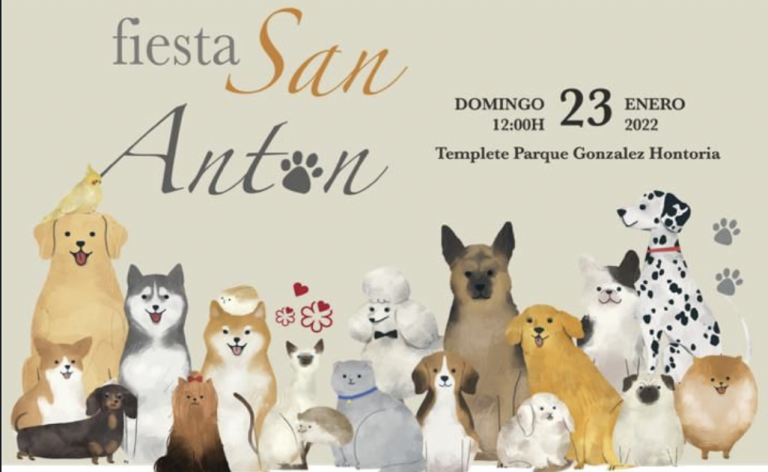 Jerez Televisión San Antón Estrellas Michelín