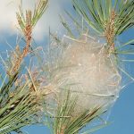 WhatsApp Image 2022-01-13 at 10.25.56