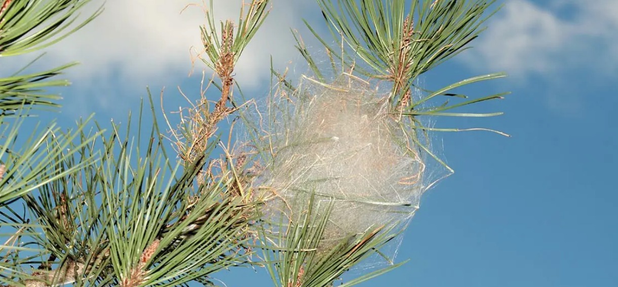 WhatsApp Image 2022-01-13 at 10.25.56