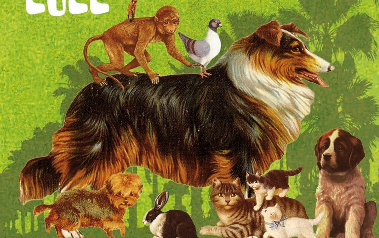 cartel_san_anton_2022 2