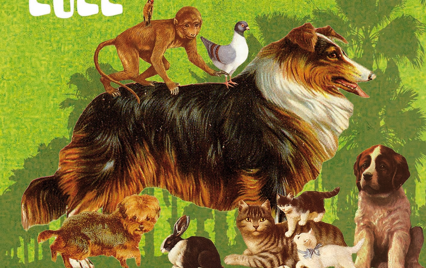 cartel_san_anton_2022 2