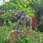 Jerez Televisión Zoo de Jerez 69 aniversario