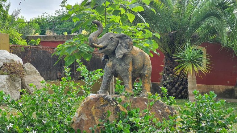 Jerez Televisión Zoo de Jerez 69 aniversario