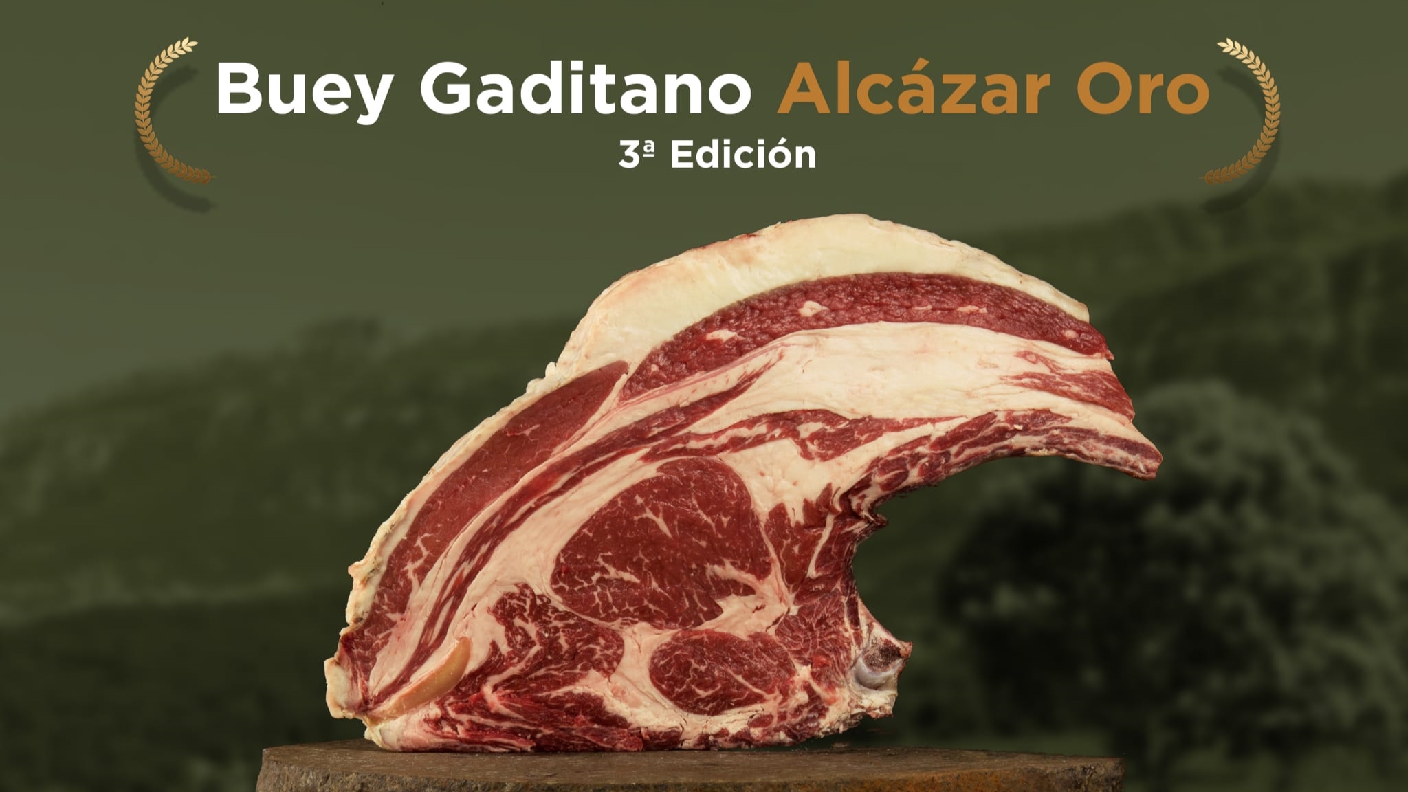 Jerez TV Carnicas Alcazar buey 3º edición 2022