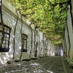 Jerez TV calle ciegos Jerez