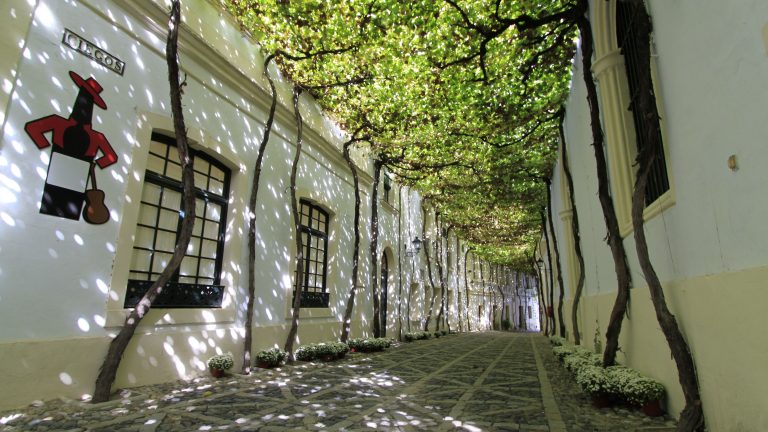 Jerez TV calle ciegos Jerez