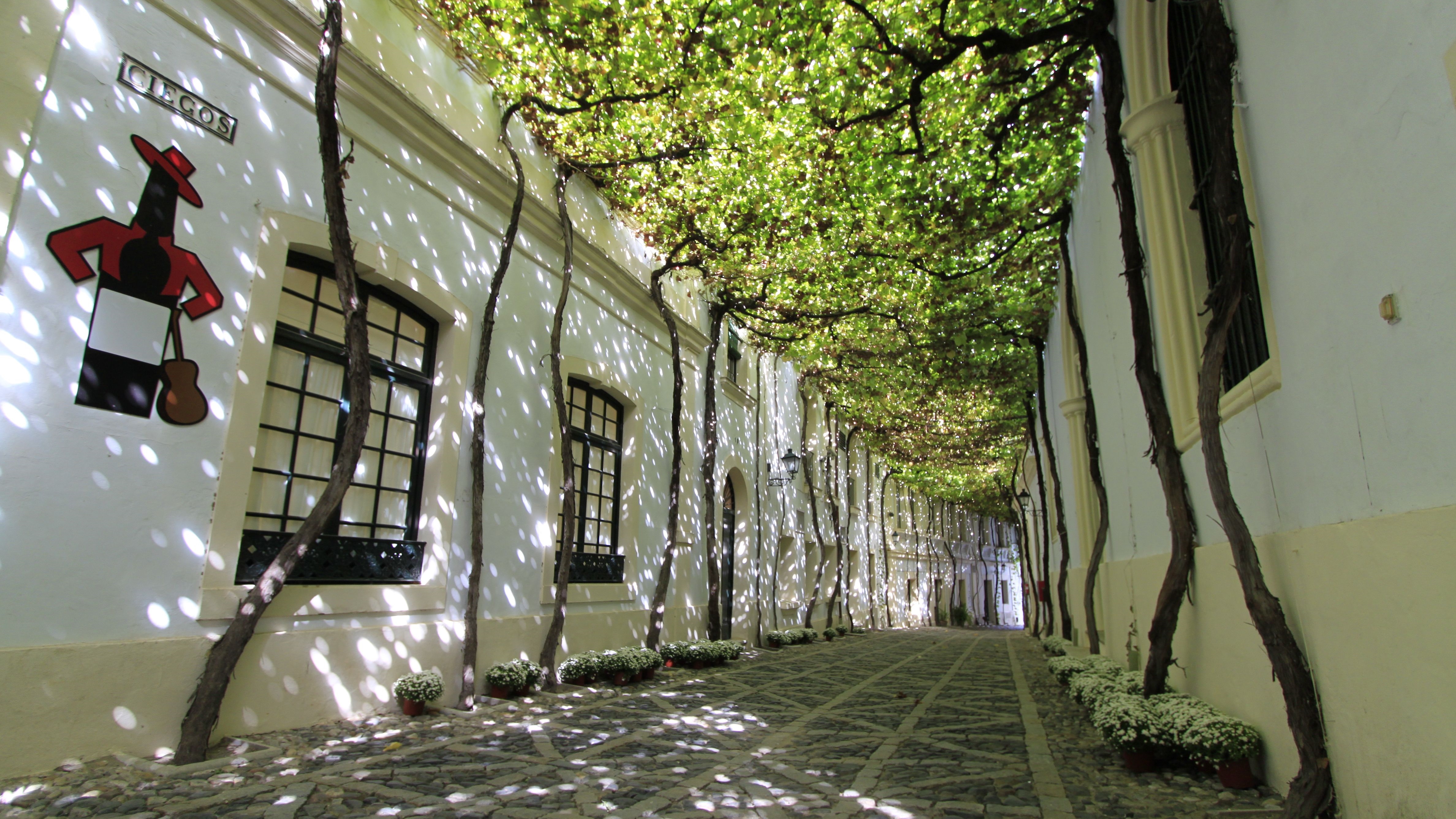 Jerez TV calle ciegos Jerez