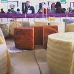 Jerez Televisión feria del Queso 2022