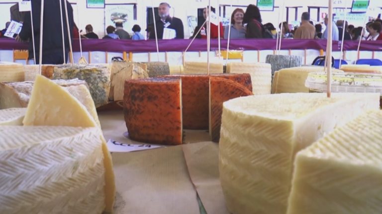 Jerez Televisión feria del Queso 2022