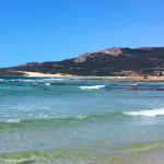 Jerez Televisión Playa Bolonia