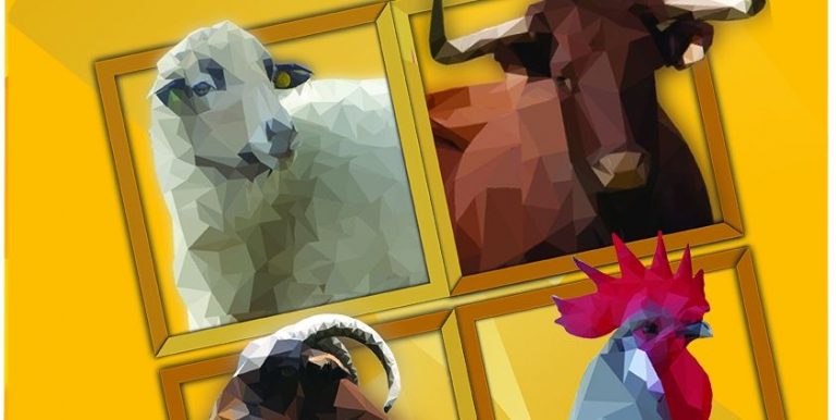 Jerez TV Fegasur 2022