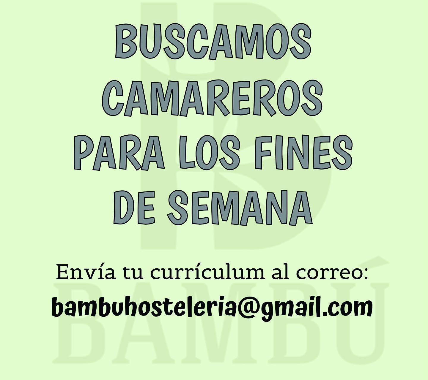 Jerez TV Bambu Trabajo