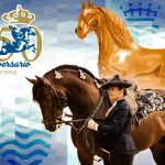 Imagen de WhatsApp 2023-02-23 a las 11.40.13