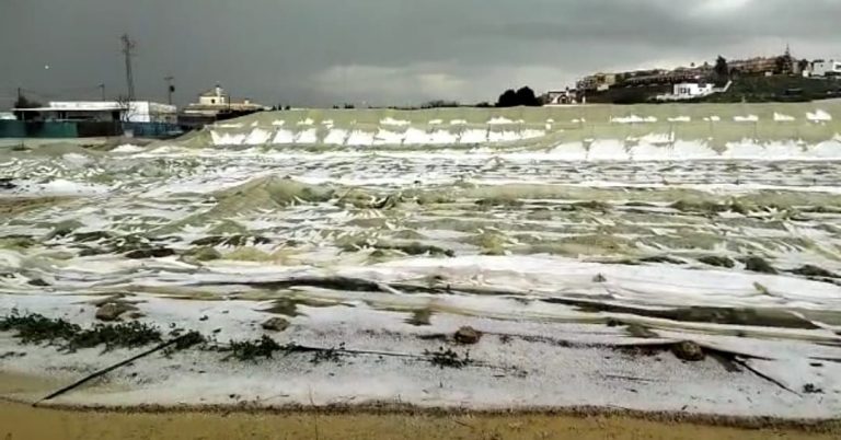 Jerez TV Sanlucar granizada