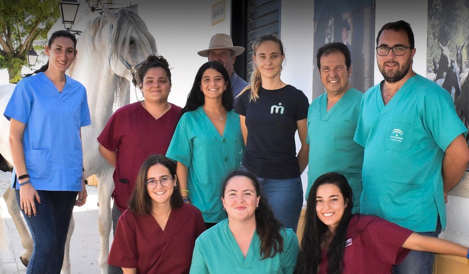 Jerez TV yeguada veterinarios