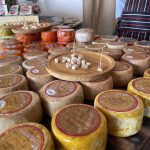 Jerez TV quesos cadiz