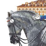 Jerez TV doma clasica jerez tv