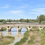 Jerez TV lomopardo puente cartuja