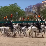 Jerez TV concurso de enganches