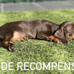 Captura de pantalla 2023-06-13 a las 19.18.32