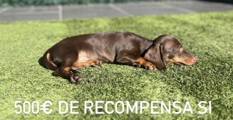 Captura de pantalla 2023-06-13 a las 19.18.32