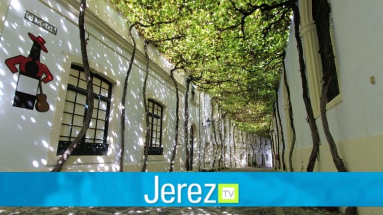 Jerez TV calle ciegos gonzalez byass tio pepe