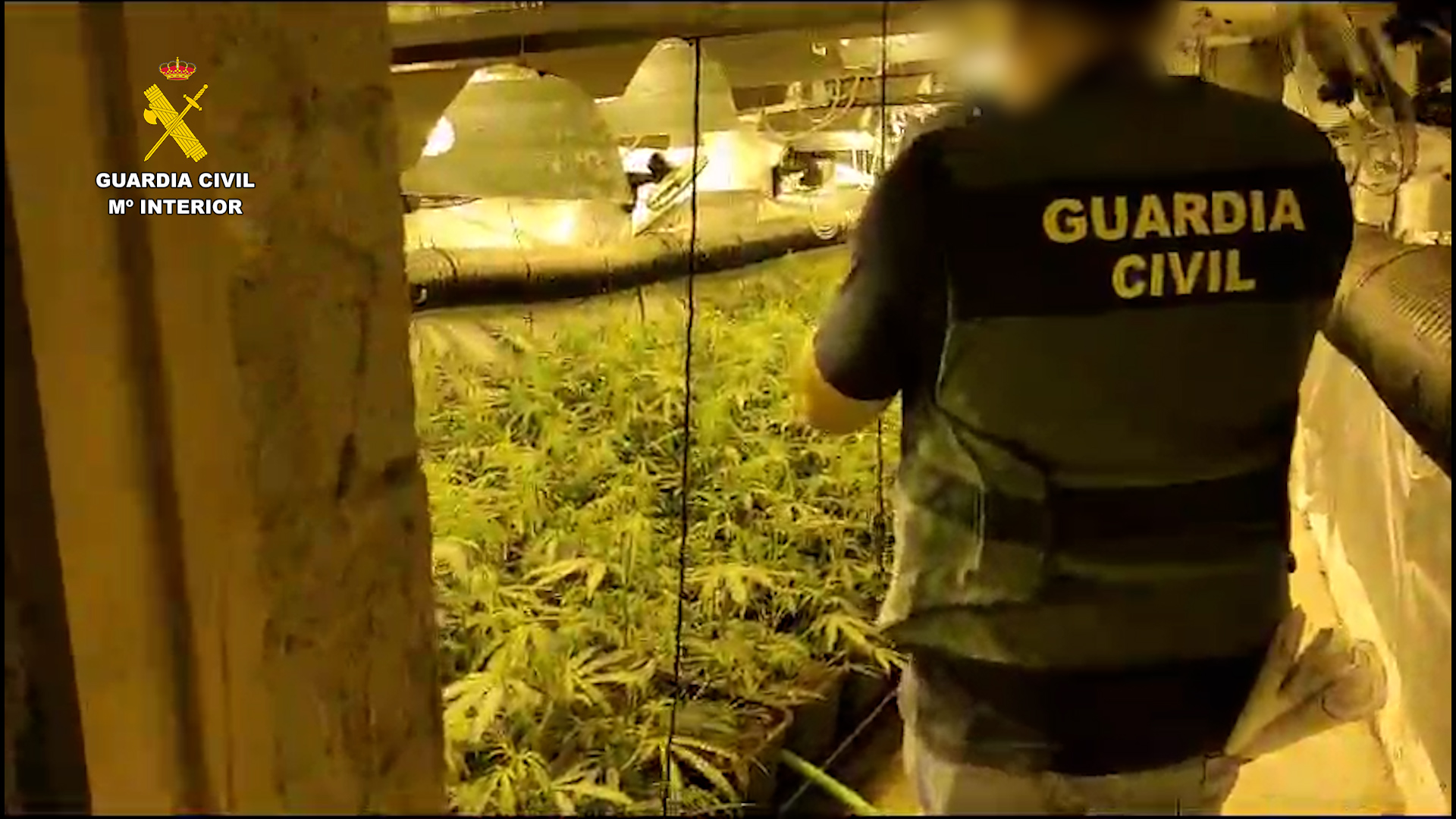 Jerez TV guardia civil marihuana contrabando