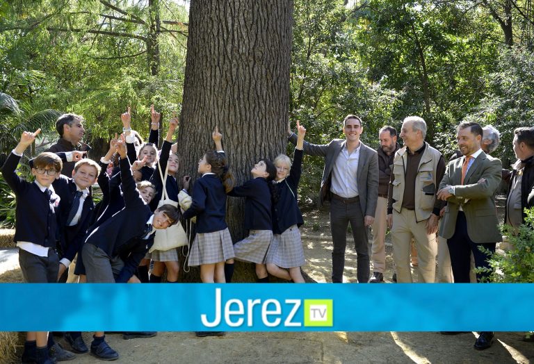 Jereztv Jaime Espinar _ Cedro del Himalaya