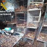 Jerez TV guardia civil maltrato animal