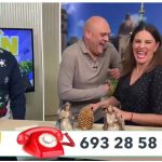 jereztv tin tin catalina lara