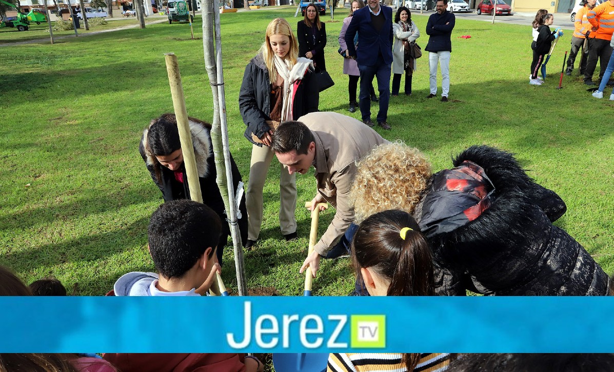 Jerez TV jaime espinar arbol