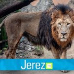 Jerez TV leon zoobotanico zoo jerez