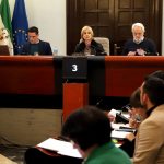 Jerez TV Pleno 22 Marzo_13