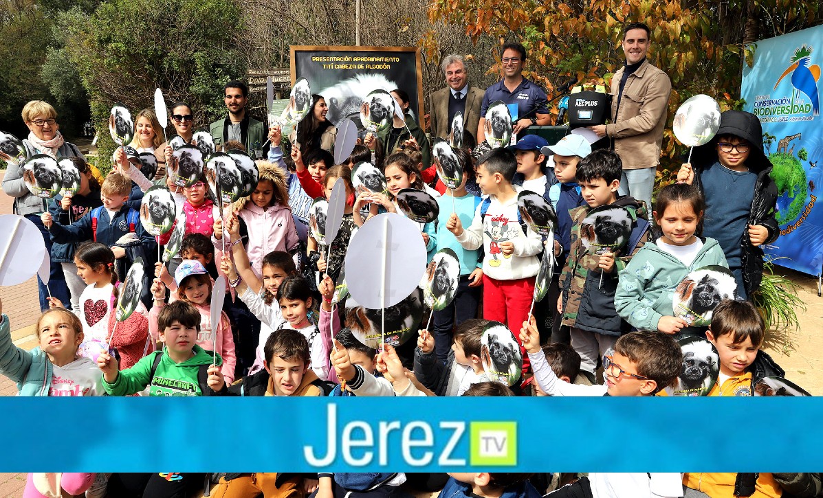 Jerez TV zoo niños