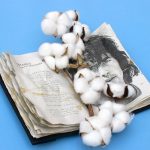 Imagen de WhatsApp 2024-04-18 a las 10.59.42_a99a24aa