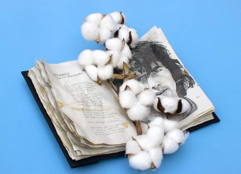 Imagen de WhatsApp 2024-04-18 a las 10.59.42_a99a24aa