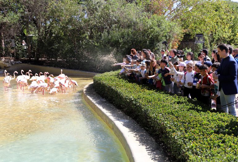 Jerez TV Apadrinamiento_Flamencos_Zoo_9