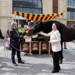 Jerez TV Yeguada_la_Cartuja_en_Mercado_Central1