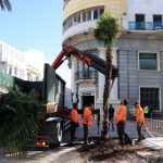 Jerez TV plaza del arenal palmeras