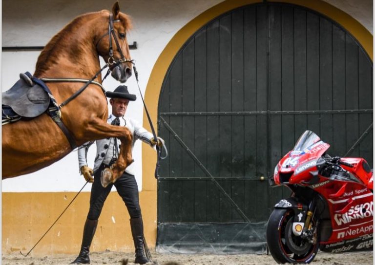 JerezTV Cartel Gala Motos