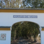 Jerez TV cortijo vicos